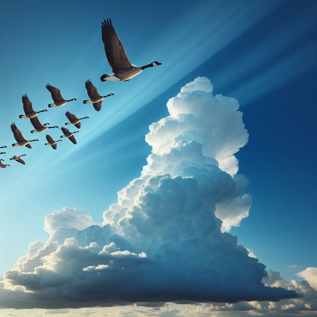 Gansos Volando - Branta Digital